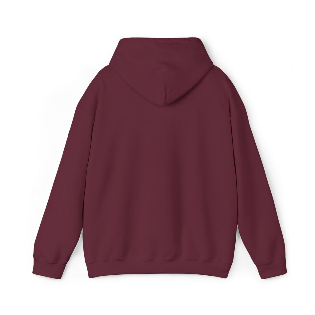 Sea Anchor Hoodie — Sealed & Chosen Faith-Inspired Pullover