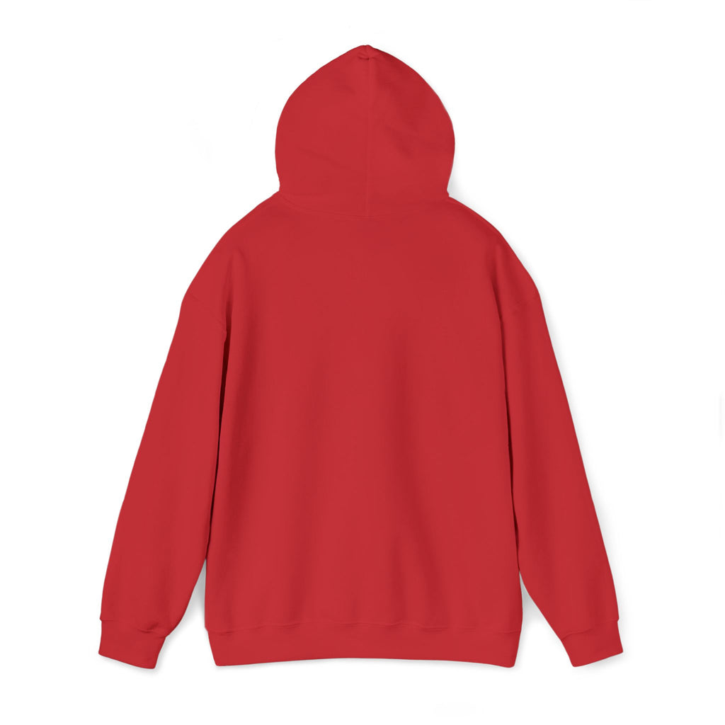 Sea Anchor Hoodie — Sealed & Chosen Faith-Inspired Pullover