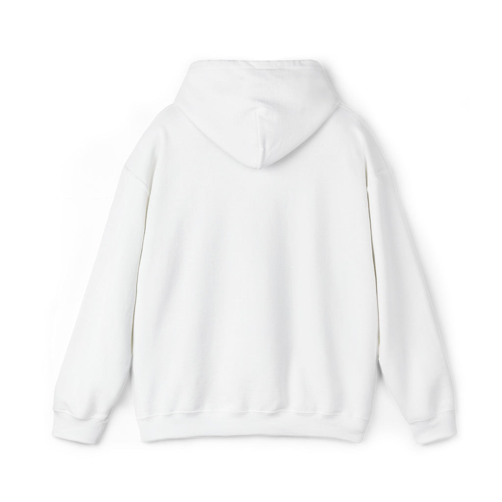 Sea Anchor Hoodie — Sealed & Chosen Faith-Inspired Pullover