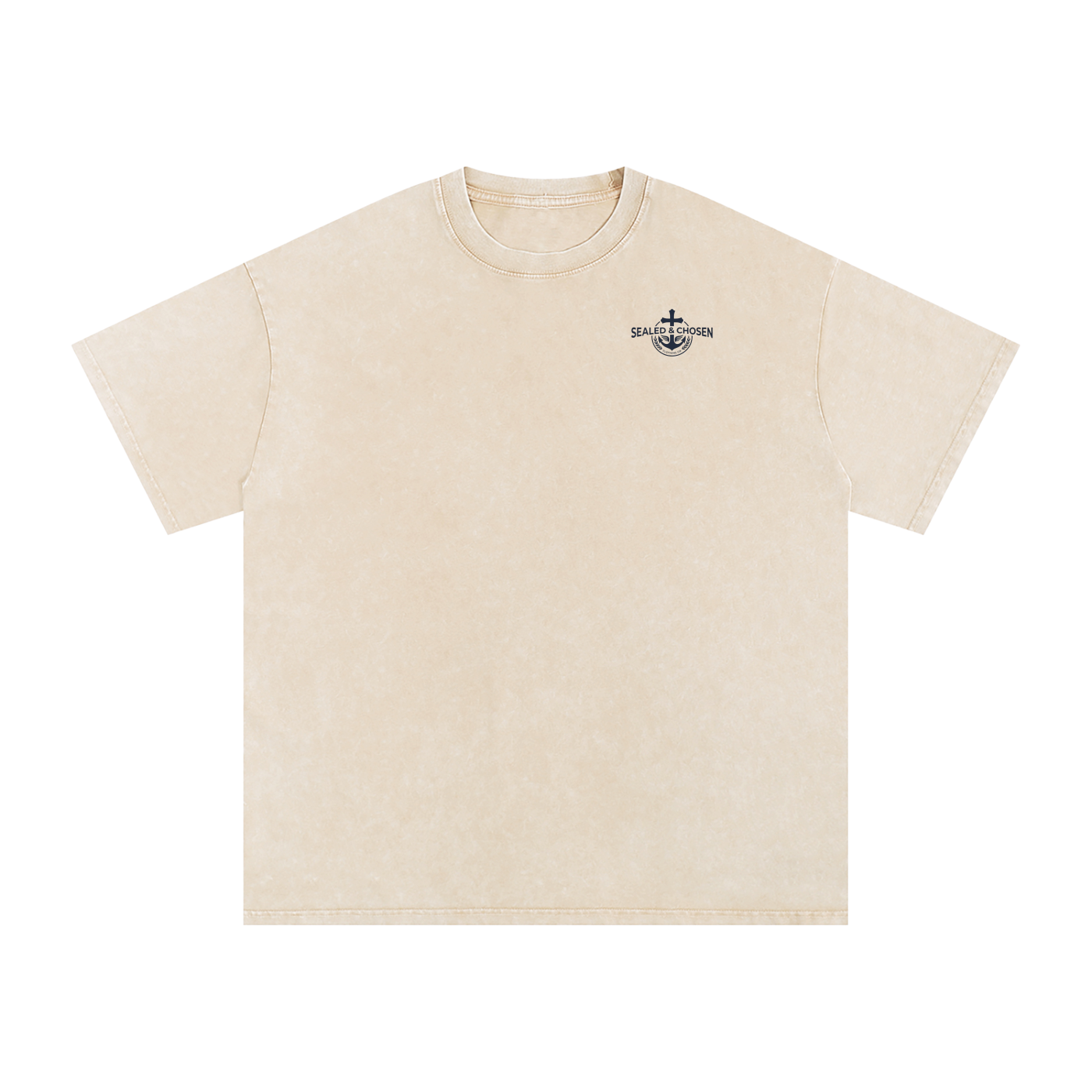 Snow Washed Oversized Cotton T-Shirt